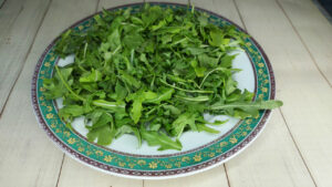 rucola