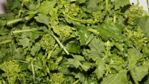 cime di rapa pulite e lavate