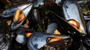 impepata di cozze