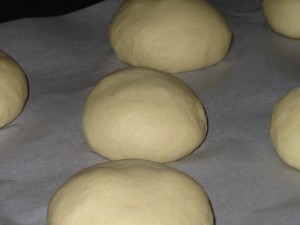 panetti in lievitazione