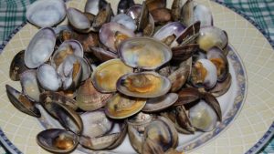 vongole aperte